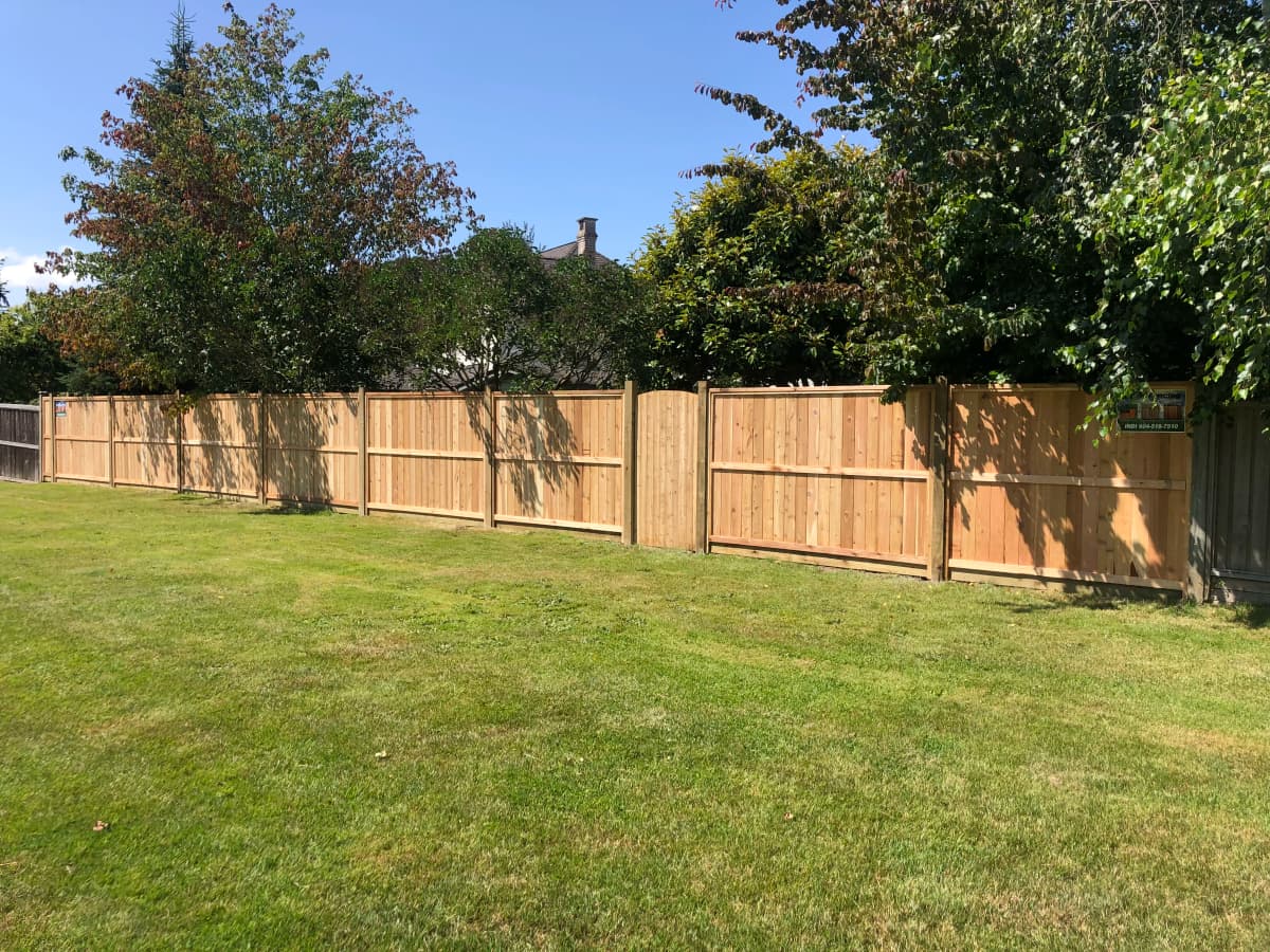 Delta Quality Cedar Fencing project 4