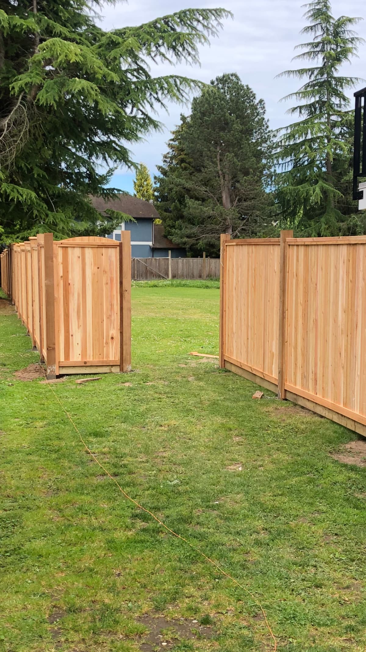 Delta Quality Cedar Fencing project 5